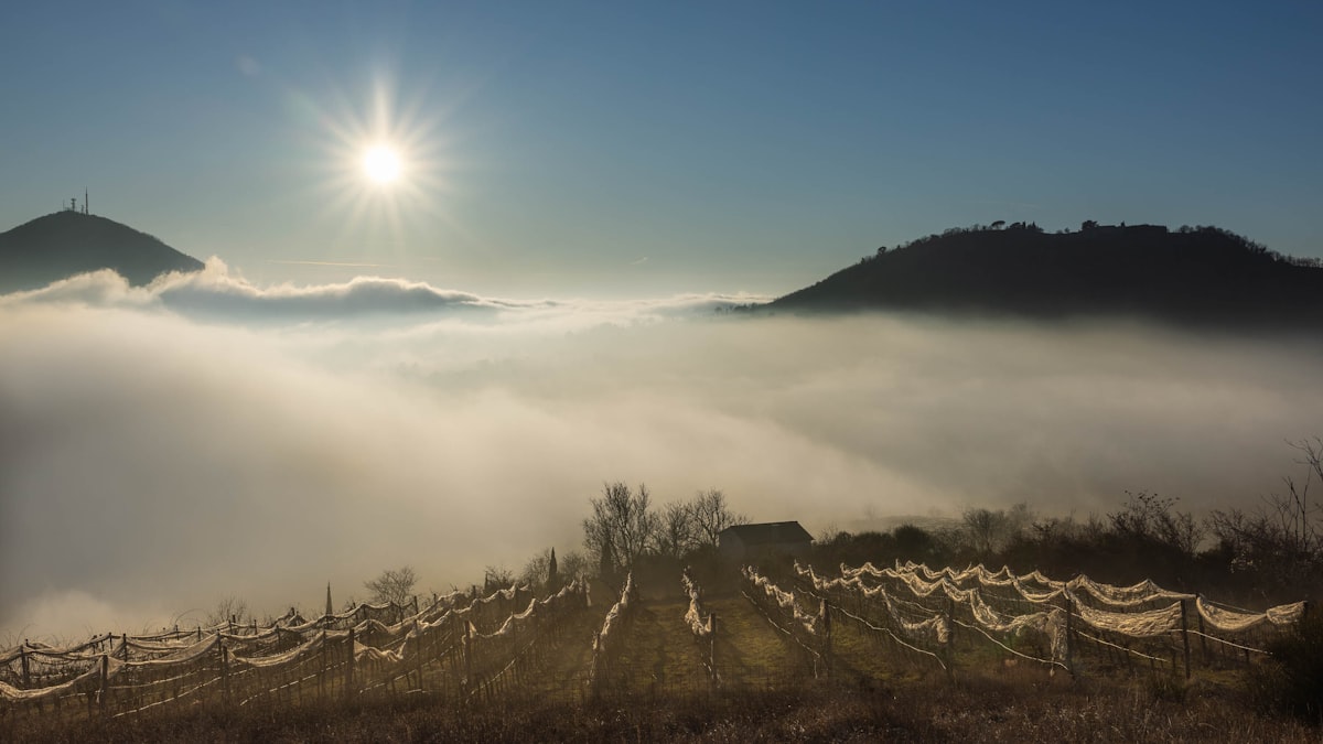 Panorama dei Colli Euganei al tramonto con nebbia nella pianura